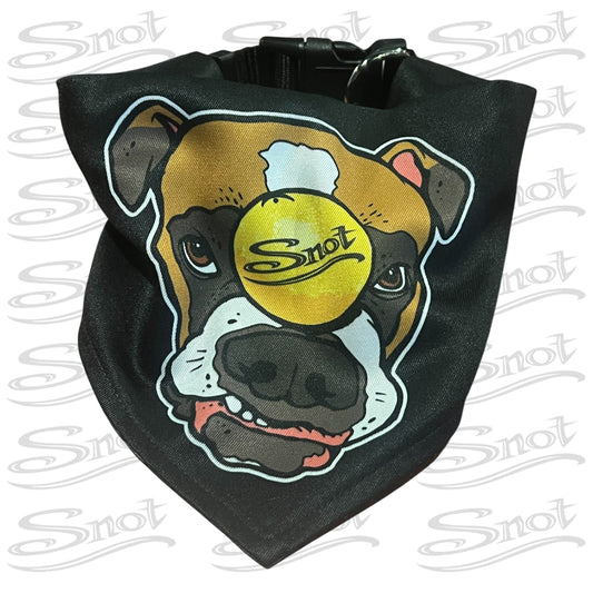 Snot Dog Bandana & Collar